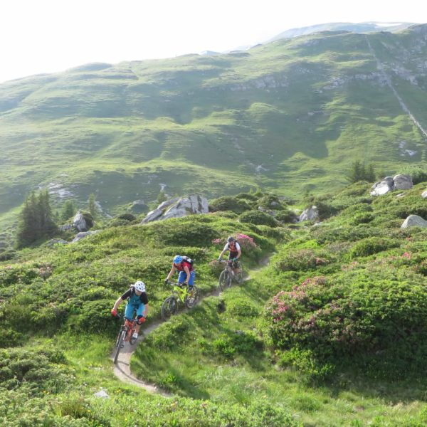 Mountainbike Fahrtechnikkurs in Laax