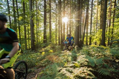 Mountainbike Fahrtechnikkurs in Pfäffikon