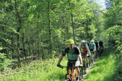 Mountainbike Fahrtechnikkurs in Pfäffikon