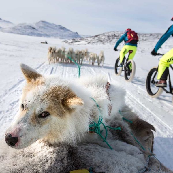 Mit dem Fatbike auf dem Arctic Circle in Grönland