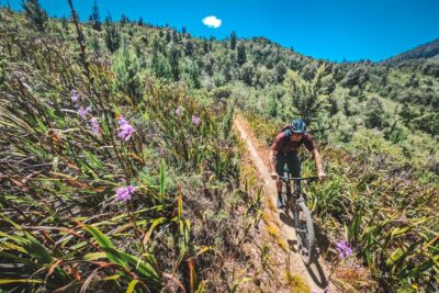 Bikereisen in Südafrika - Stellenbosch