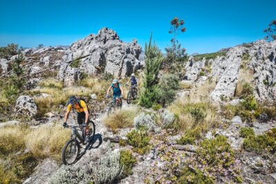 Bikereisen in Südafrika - Stellenbosch