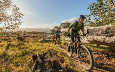 Die 5 Top Bikespots in Südafrika