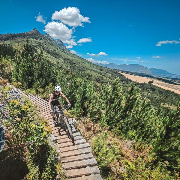 Mountainbikereise Stellenbosch